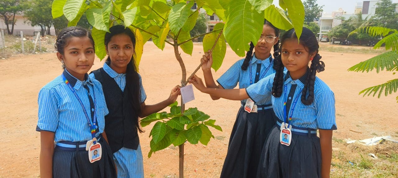 Green Club 2025 image 1