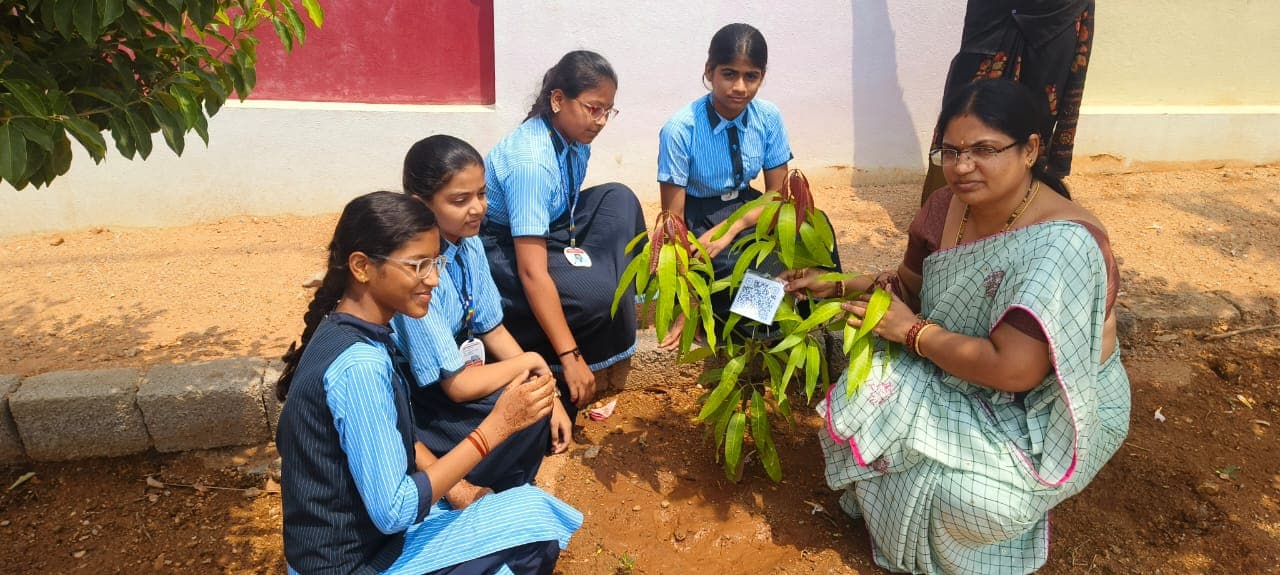 Green Club 2025 image 4